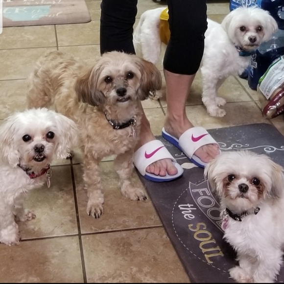 💎👖👗🧣🧤 - Picture 2 of 2